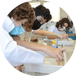 Escola Viva | uma escola que nasce da arte e de um sonho!